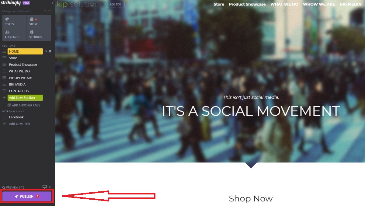 Publish Button Publish Button